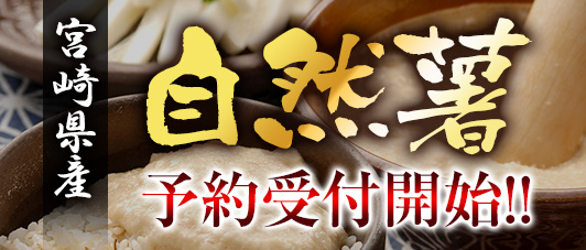 日本ハム 本格派ギフト NH427｜日本ハム取扱商品｜│JAみやざき 日向