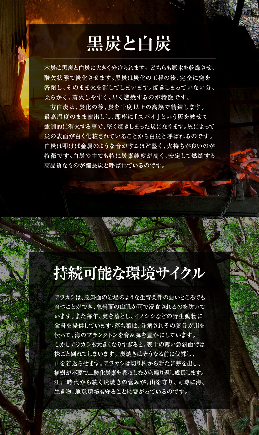 日向備長炭 | JAみやざき 日向オンラインショップ