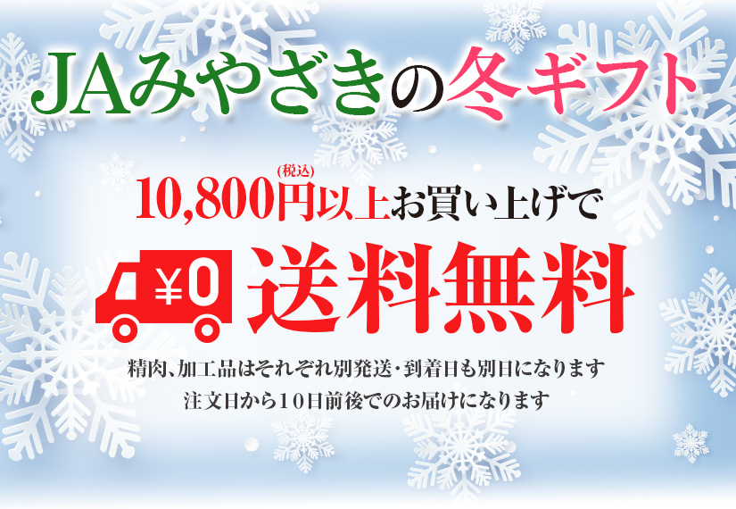ギフト | JAみやざき 日向オンラインショップ