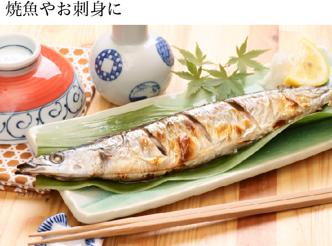 商品一覧 | JAみやざき 日向オンラインショップ