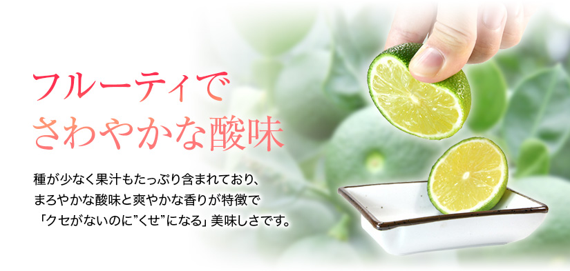 へべす果実 | JAみやざき 日向オンラインショップ