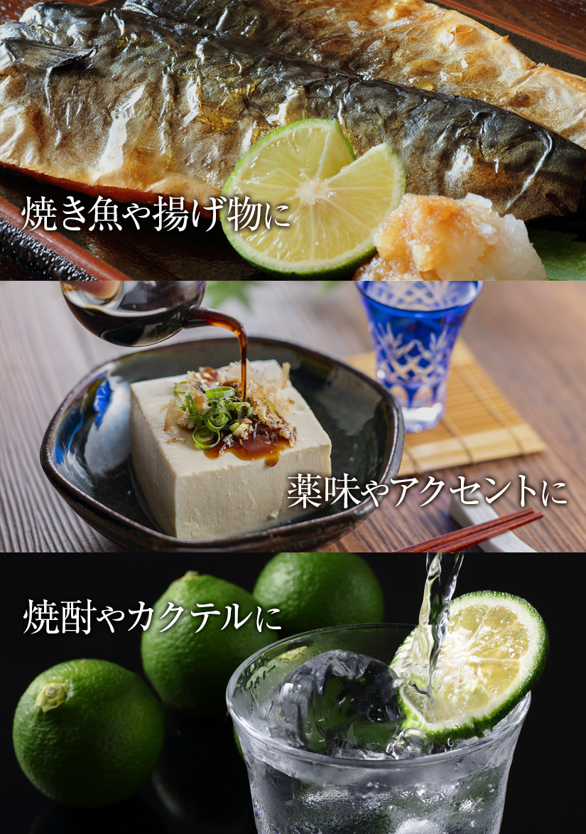 へべす果実 | JAみやざき 日向オンラインショップ