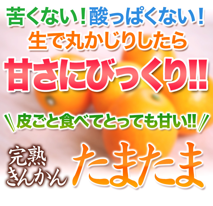きんかんたまたま