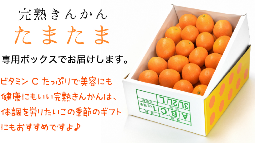 きんかんたまたま