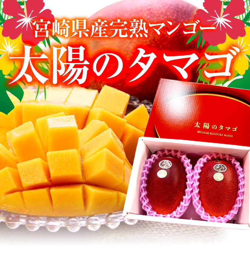 食品・飲料・酒宮崎産　完熟マンゴー　10個　4.2kg