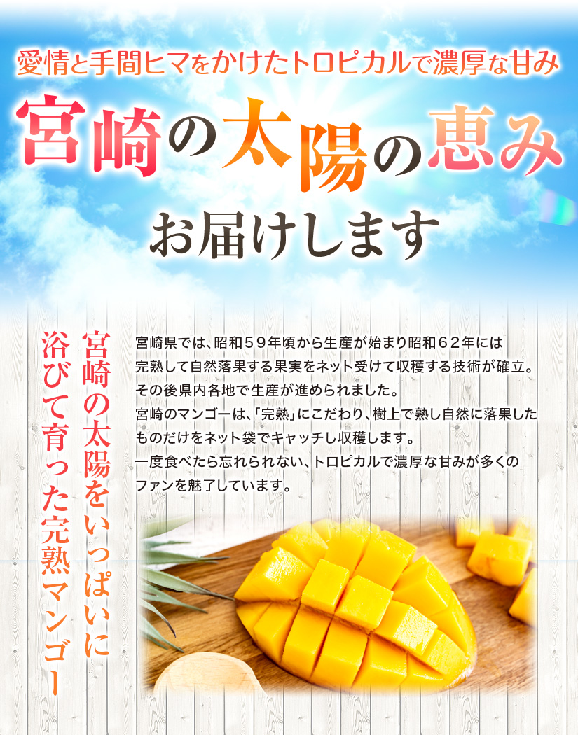 宮崎県産 完熟マンゴー 3.5kg