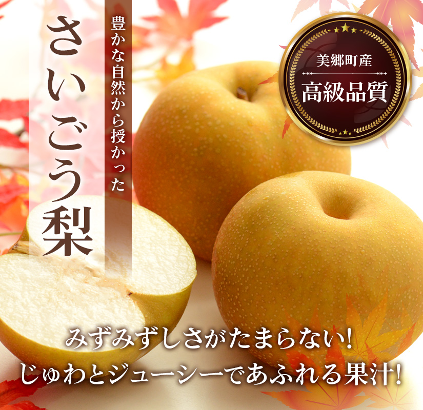 さいごう梨 | JAみやざき 日向オンラインショップ