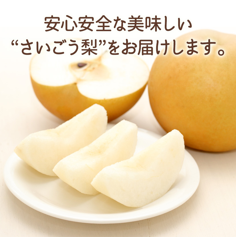 さいごう梨 | JAみやざき 日向オンラインショップ