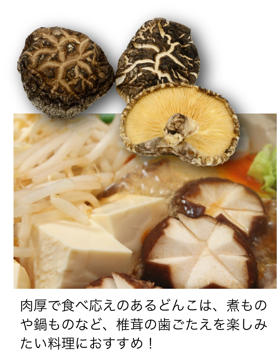 商品一覧 | JAみやざき 日向オンラインショップ