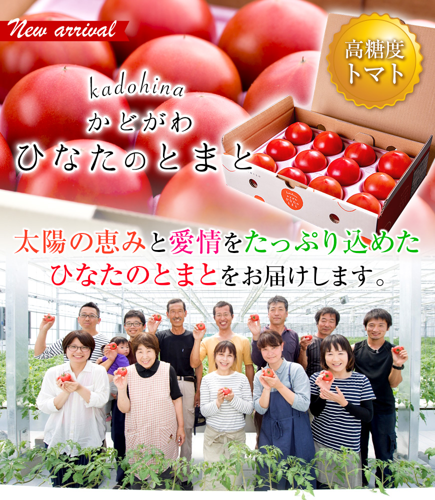 門川ひなたの高糖度とまと | JAみやざき 日向オンラインショップ