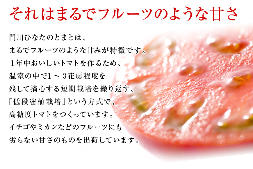 門川ひなたの高糖度とまと | JAみやざき 日向オンラインショップ