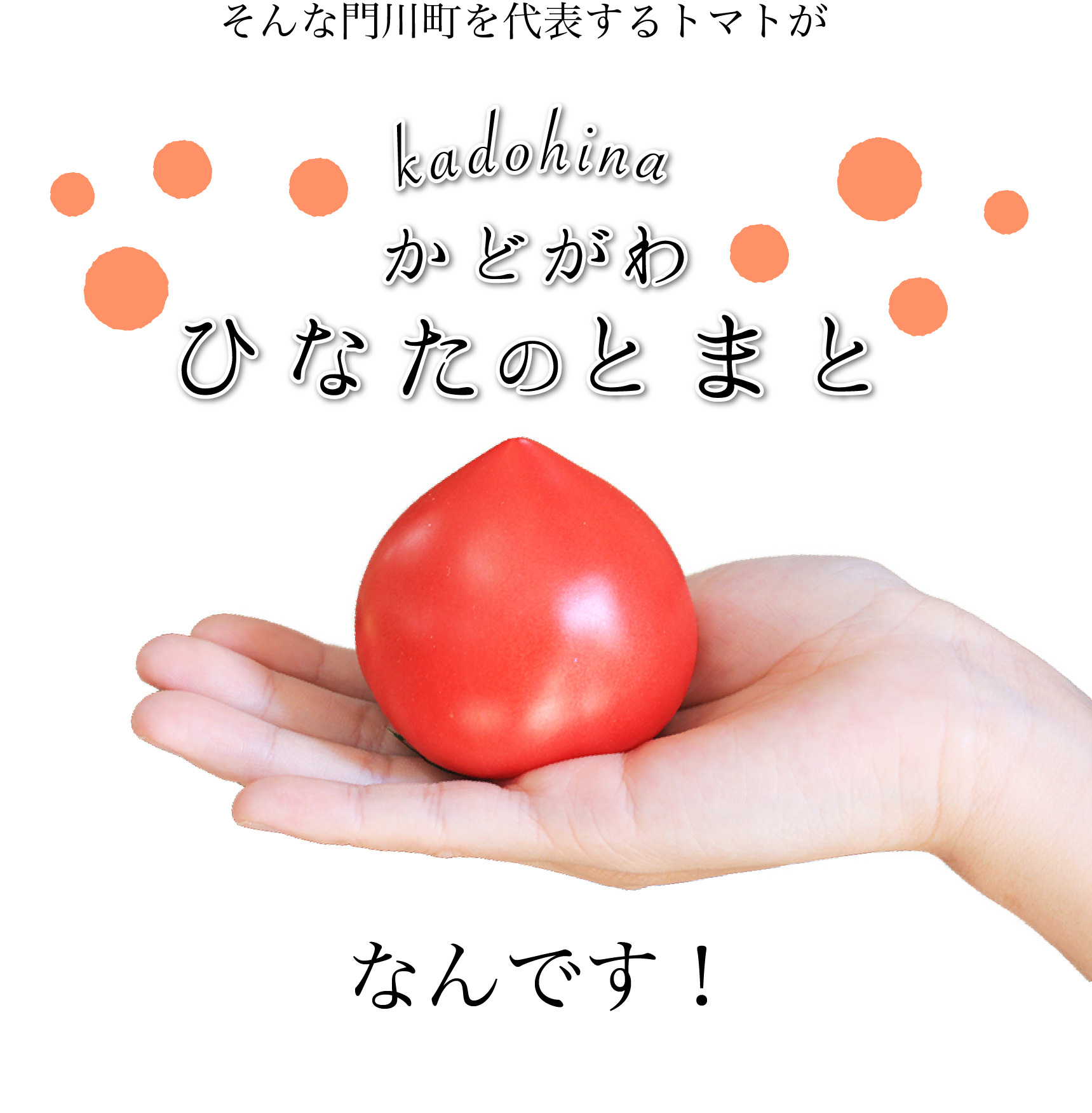 門川ひなたの高糖度とまと | JAみやざき 日向オンラインショップ 門川ひなたの高糖度とまと | JAみやざき 日向オンラインショップ