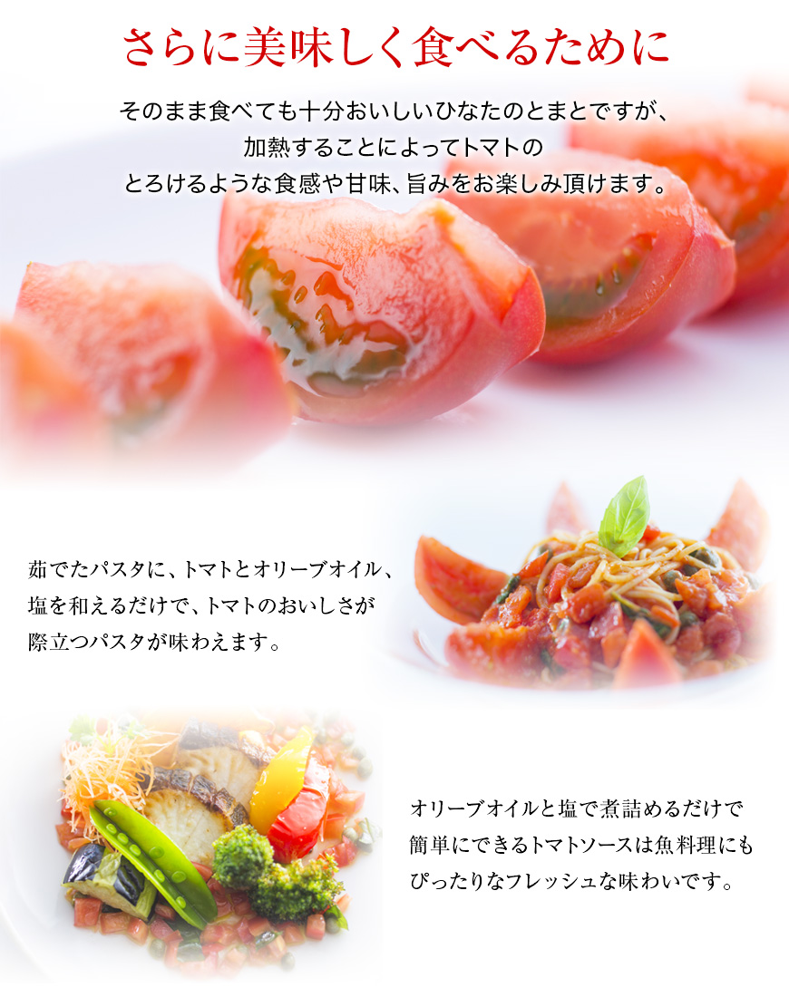 門川ひなたの高糖度とまと | JAみやざき 日向オンラインショップ