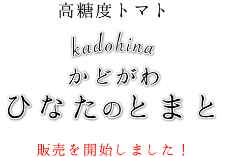 門川ひなたの高糖度とまと Ja日向オンラインショップ