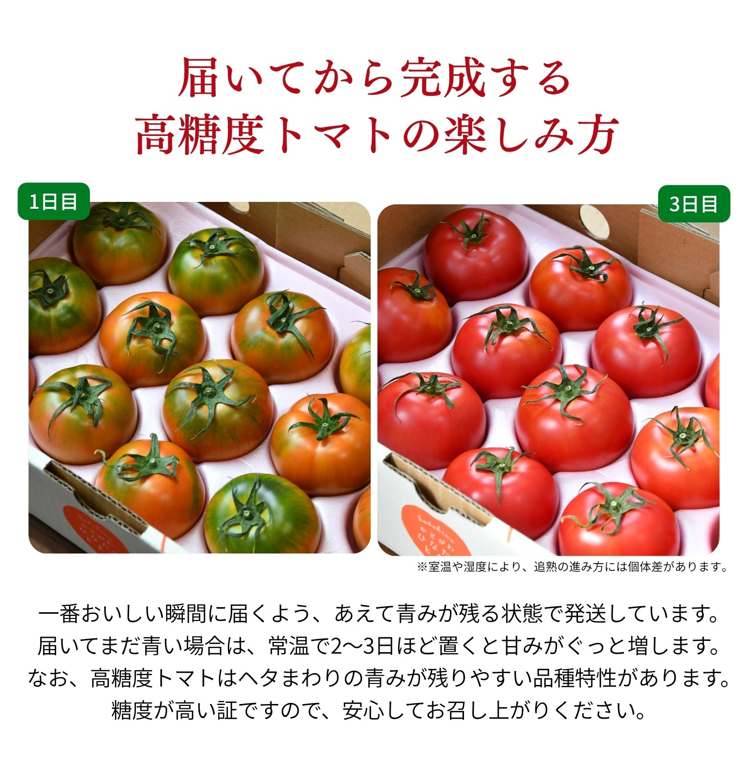 門川ひなたの高糖度とまと | JAみやざき 日向オンラインショップ