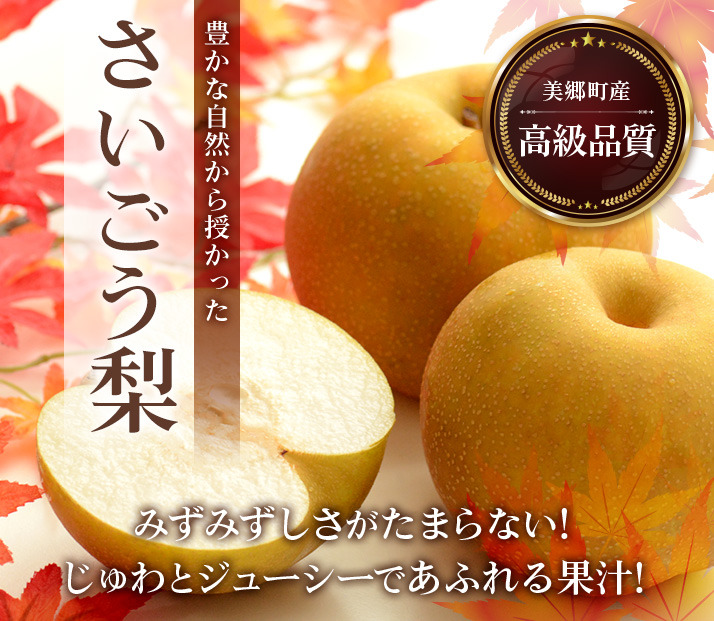 JAみやざき 日向オンラインショップ