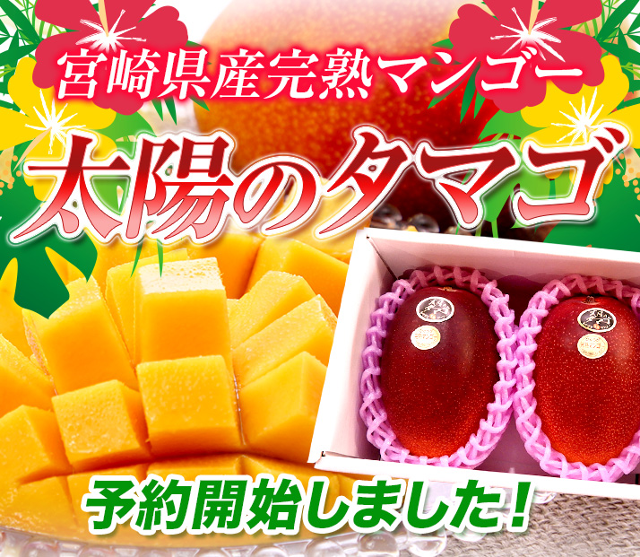 JAみやざき 日向オンラインショップ